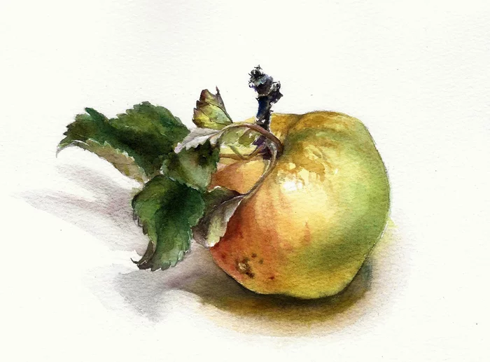 Harvest - My, Art, Watercolor, Apples