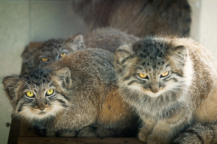 �������