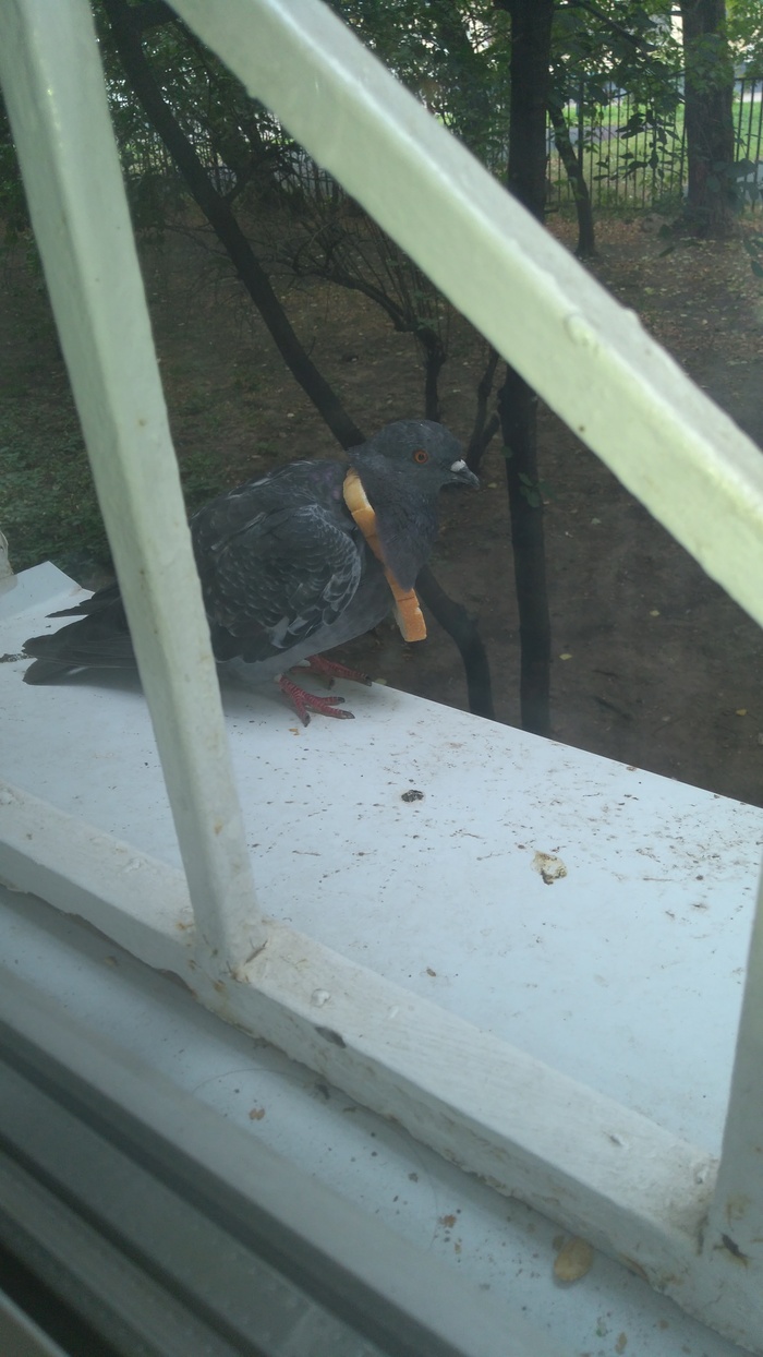 �� ��� ���� � �����