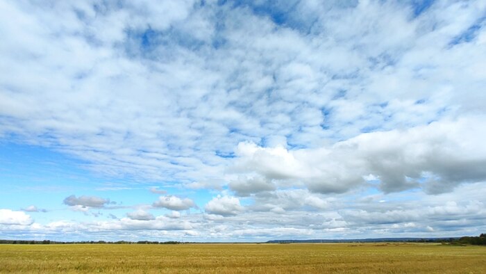 Просто красиво и умиротворенно Мобильная фотография, Фото на тапок, Нижегородская область, Небо, Поле, Облака, Природа