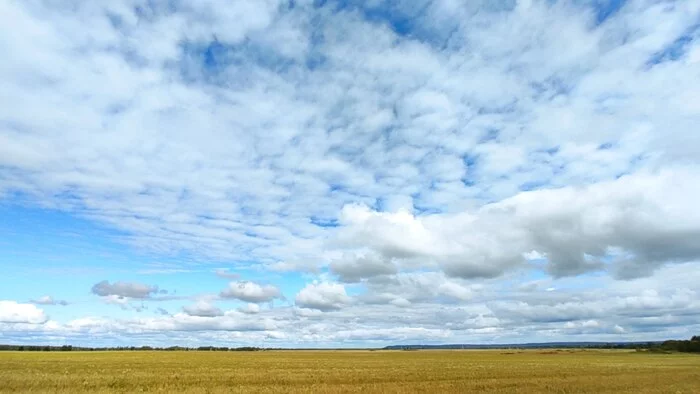 Just beautiful and peaceful - My, Mobile photography, Photo on sneaker, Sky, Field, Clouds, Nature, Nizhny Novgorod Region