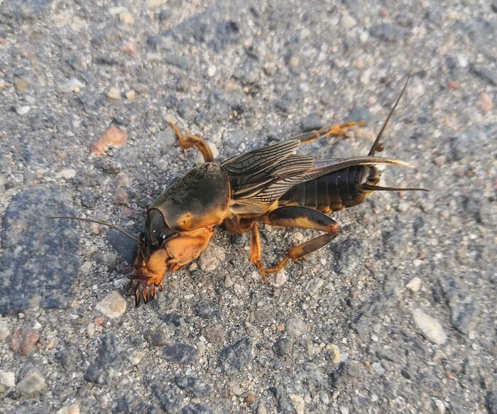    ?