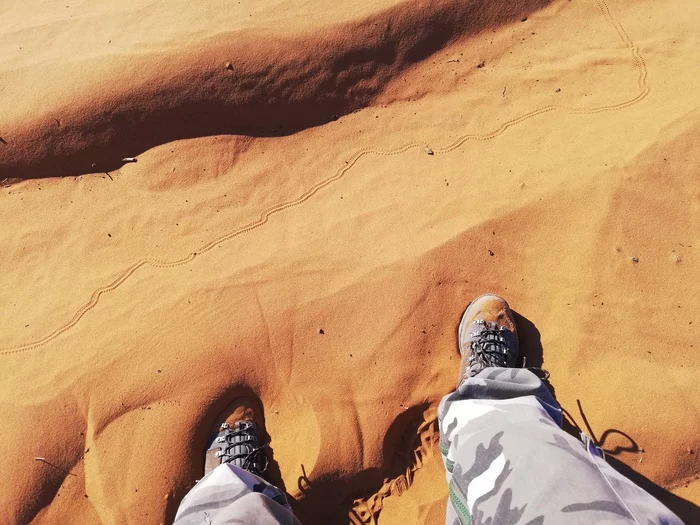 Morocco 2019. Day 9. Sahara. PART 1: - My, Hike, Adventures, The mountains, Author's story, Camping, Туристы, Mountain tourism, Russian language, The words, English language, Russians, Prose, To be continued, Writing, Story, Samizdat, Travels, Morocco, Africa, Longpost, Kola Peninsula