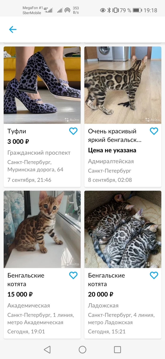 Nice try, AI! - My, Artificial Intelligence, cat, Shoes, Avito, Longpost