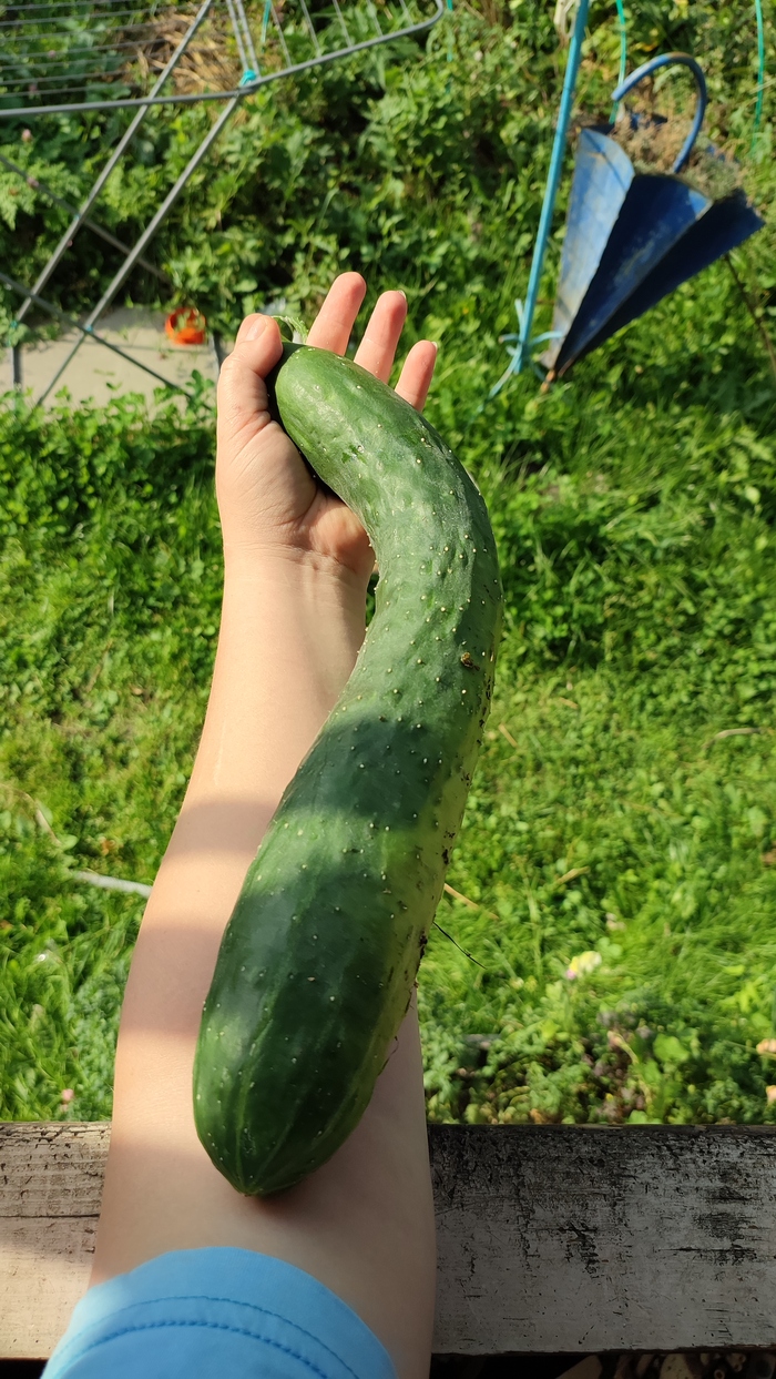    , , 