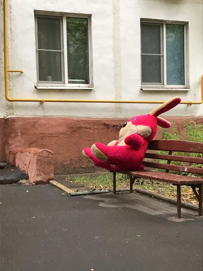 ��� �����. ��������