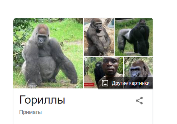 Ok Google - Humor, Gorilla, Google, Search, Images