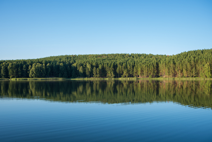 Россия, Удмуртская республика, город Можга. Городской парк