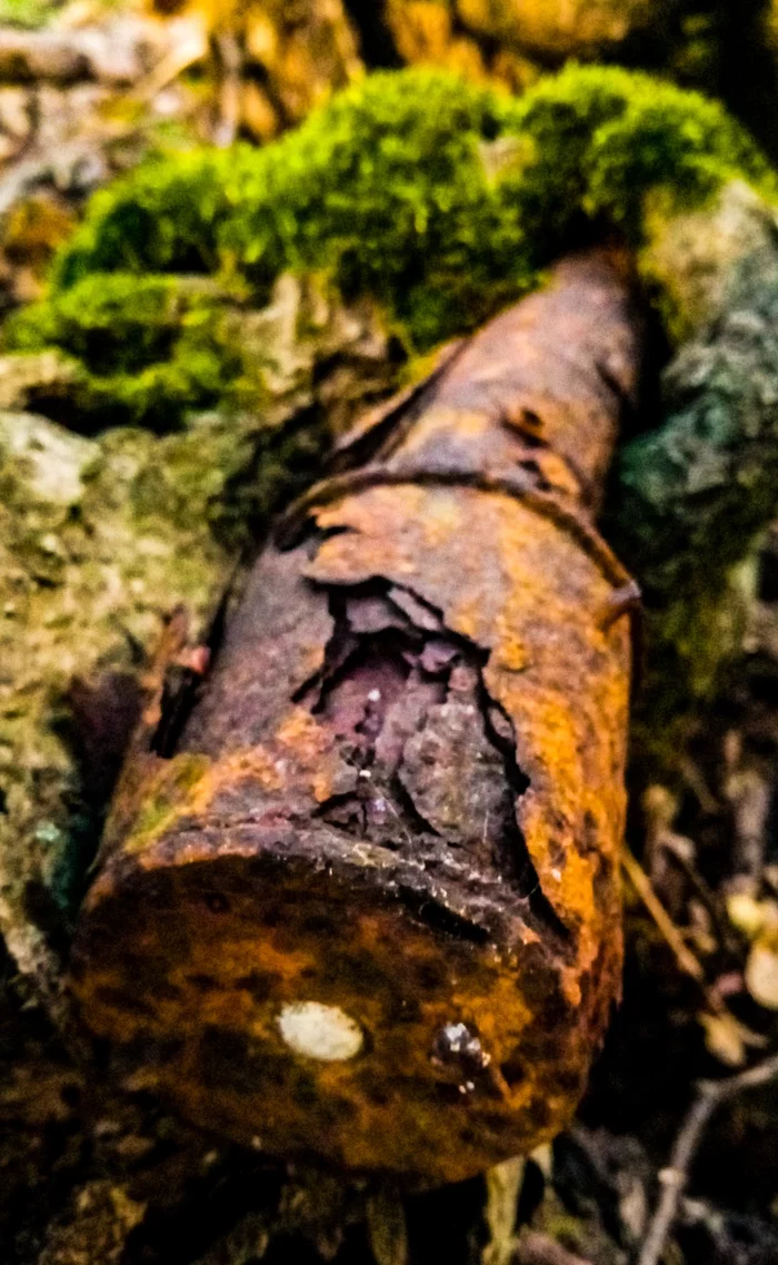 Echoes of war. Rusty but still dangerous - My, Hand grenade, The Great Patriotic War, Mobile photography