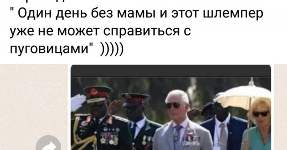 Без мамы никуда | Пикабу