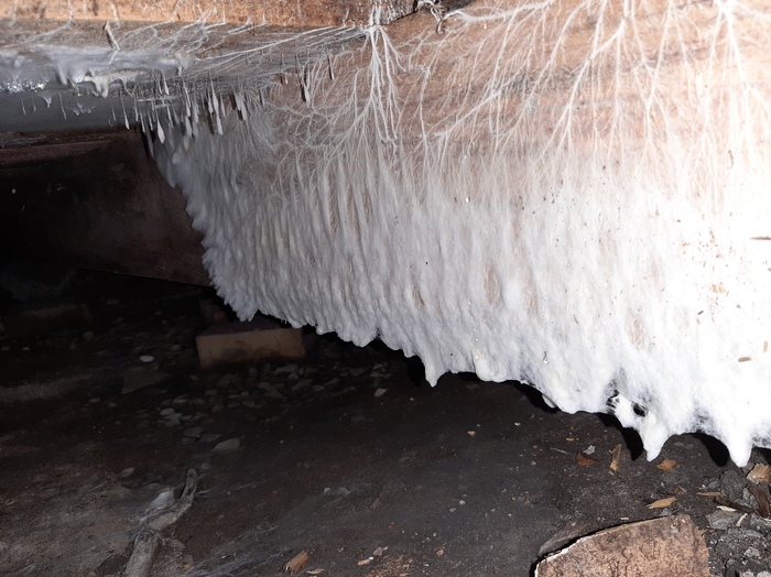 Полы не правильные | Пикабу