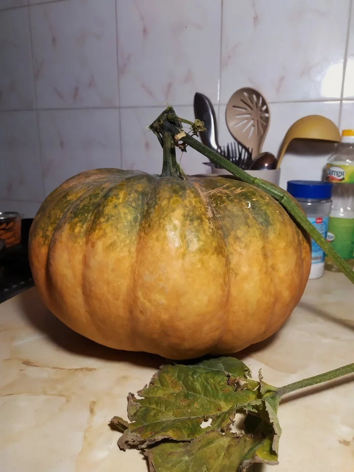 Porridge from an ax: a task with a pumpkin) - My, Pumpkin, Food, Question, Saving, Budget