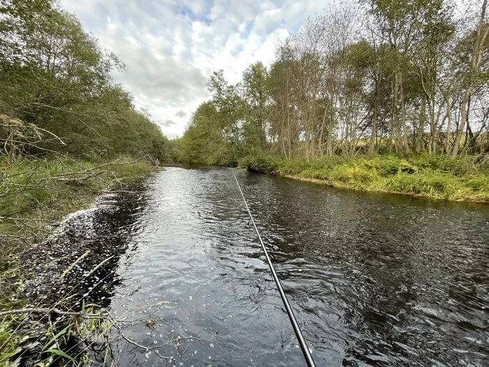 Tuksha - My, Leningrad region, Nature, Fishing, The photo