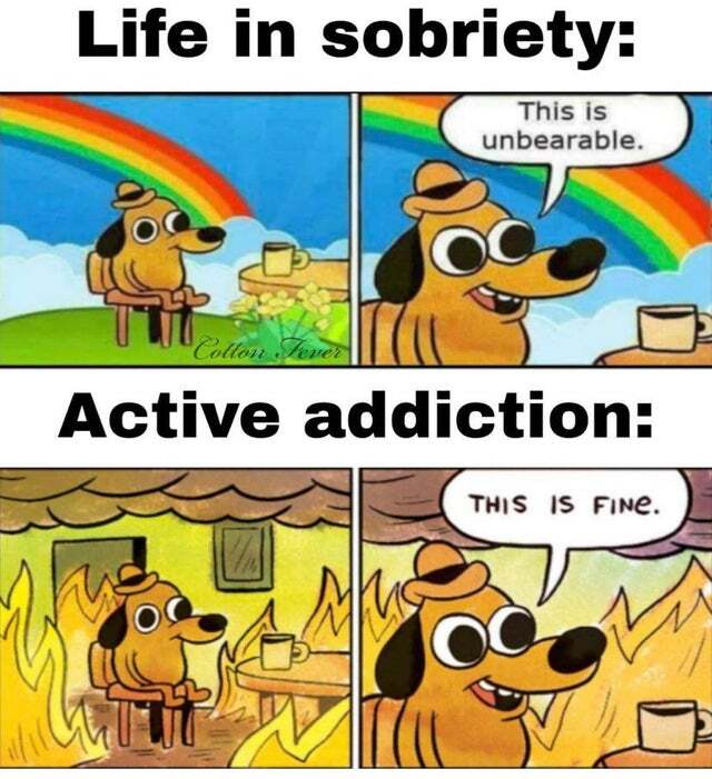 different life - Humor, Drugs, Addiction, Picture with text, Reddit