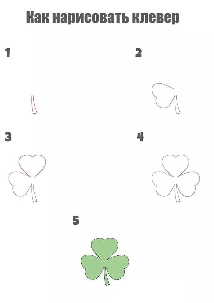How to draw a clover step by step - Drawing lessons, Creation, Painting, Drawing, Clover, Learning to draw, Tutorial, Drawing process