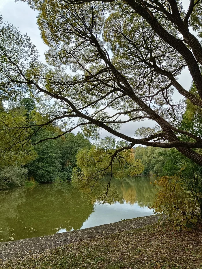 Autumn in Izmailovsky Park - My, Autumn, The photo, Izmailovsky park, Nature, Longpost