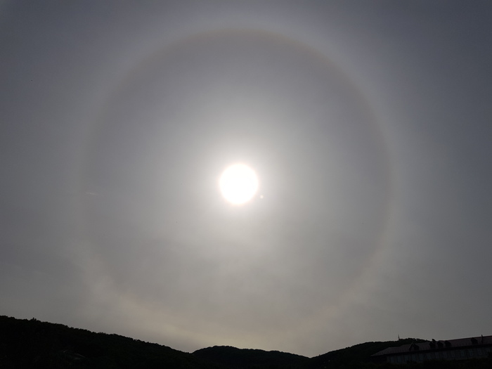 Солнечное гало