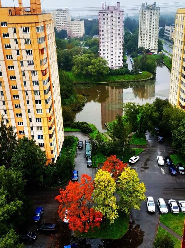 Autumn in St. Petersburg - Autumn, Paints, Saint Petersburg, Architecture, Urban environment, The photo, Repeat
