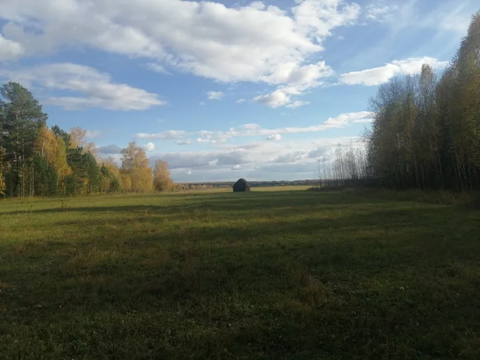 Haymaking - Nature, Haymaking