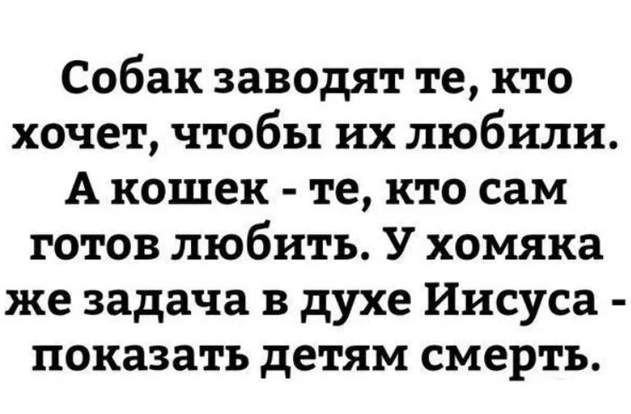 Кто-нибудь называл хомяка Иисус? - Юмор, Абсурд, Странности, Странный юмор