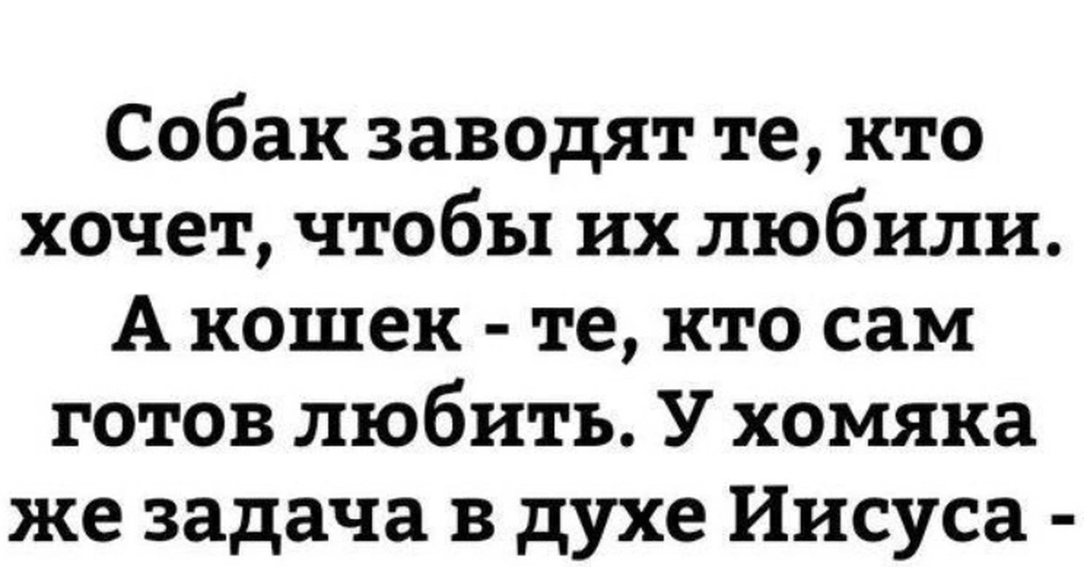 Готов любить. Собак заводят те кто хочет. Собак заводят те кто хочет чтобы их любили. У хомяка миссия в духе Иисуса. Хомяк показать детям смерть.