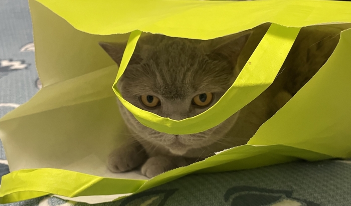 Пакет нужен?