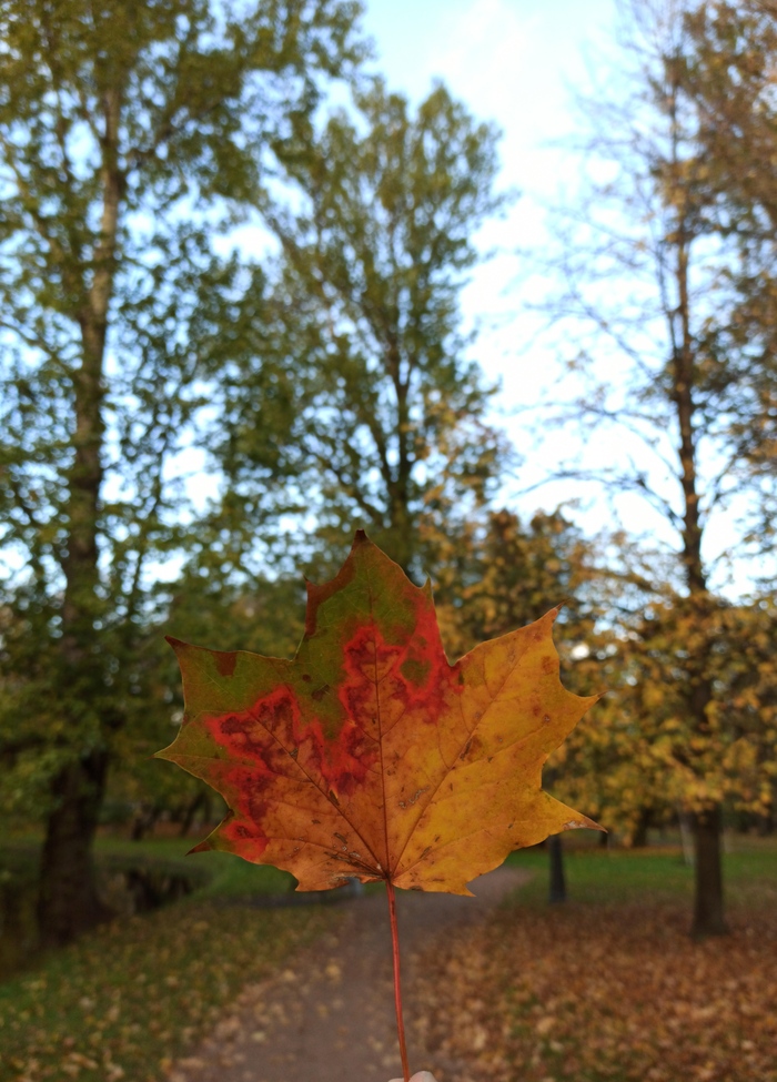 ������� ���������