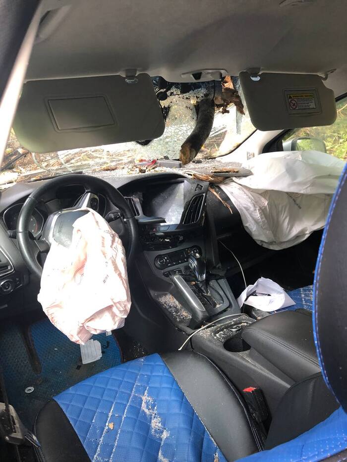 In the Tver region, a tree broke through the windshield of a car - Konakovo, Crash, Road accident, Tree, The photo, Longpost