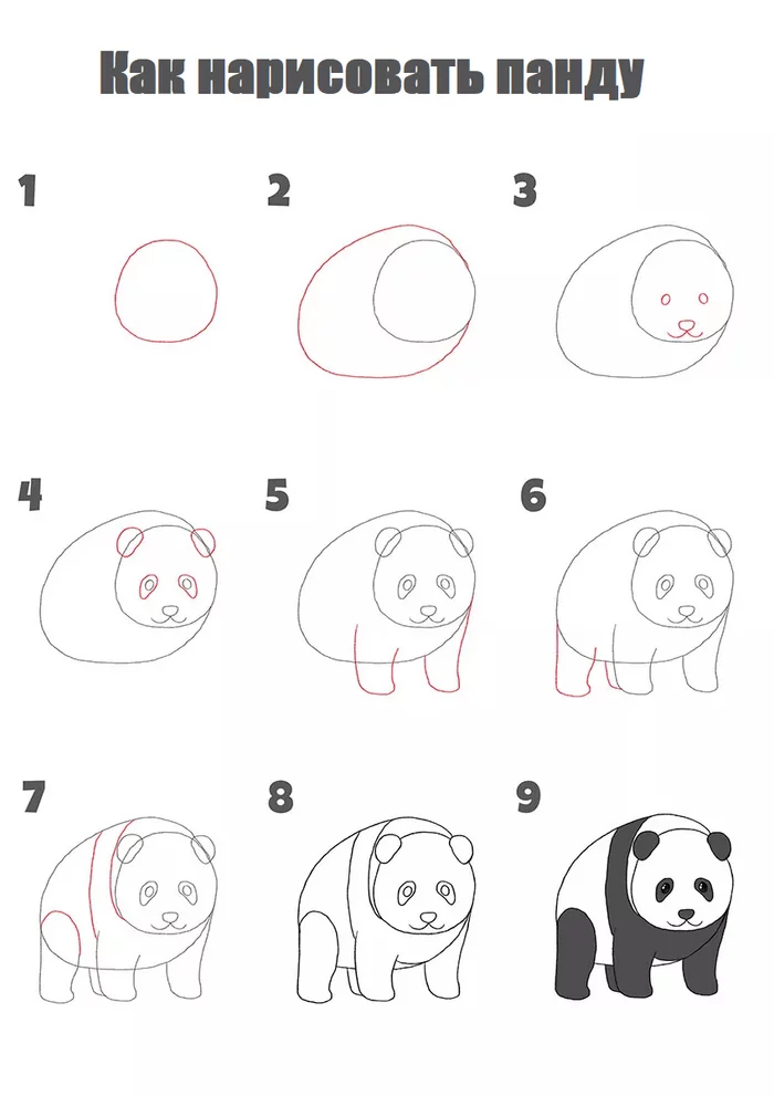 How to draw a panda step by step - Panda, Beginner artist, Painting, Creation, Drawing process, Digital, Art, Tutorial, Digital drawing, Drawing