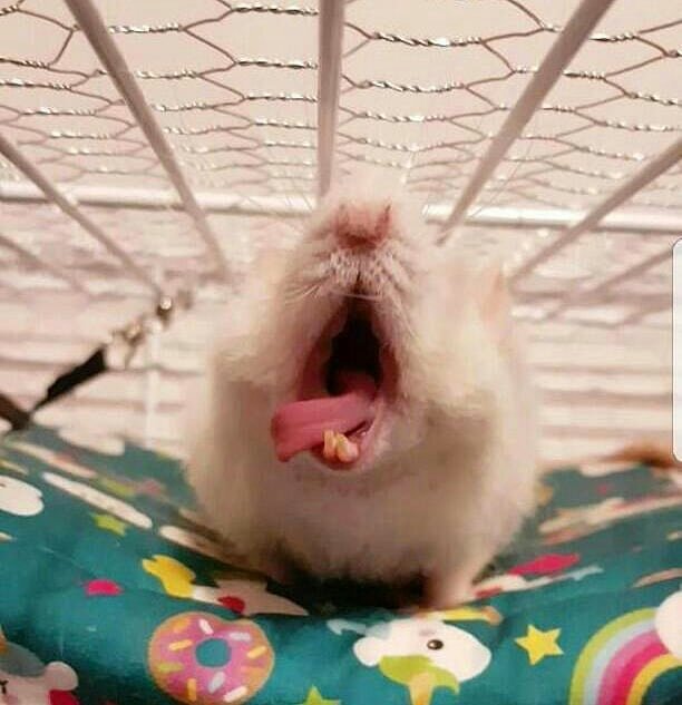 ...  , , 