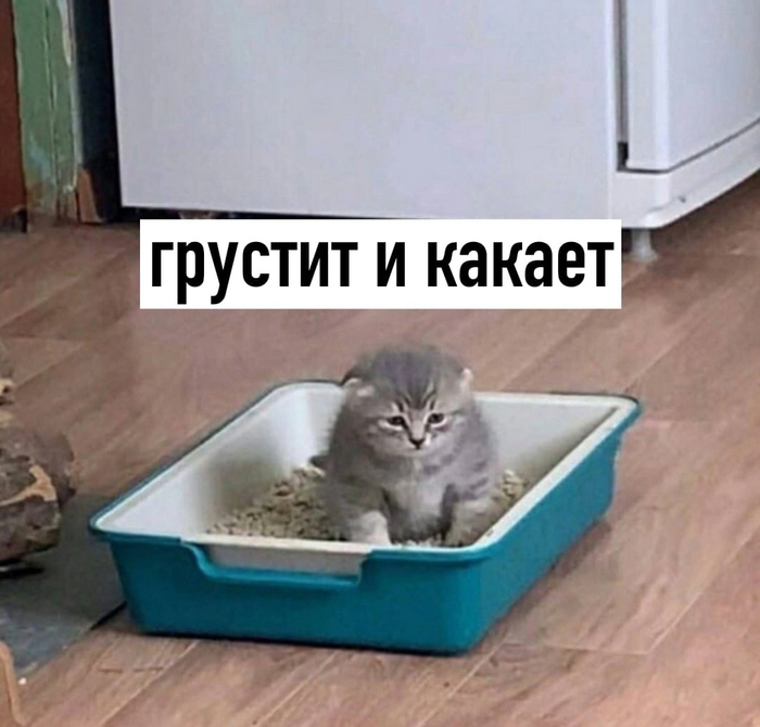 Когда забыл телефон в туалет