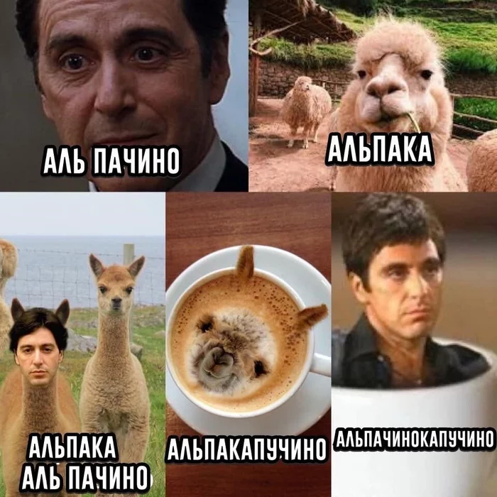 El Pacino - Humor, Picture with text, Alpaca, Al Pacino, Wordplay, Strange humor