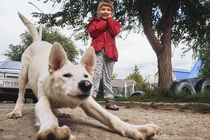 Have a nice day, everyone - Puffs, Dog, Children, The photo