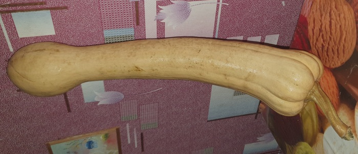 Ох уж эти овощи