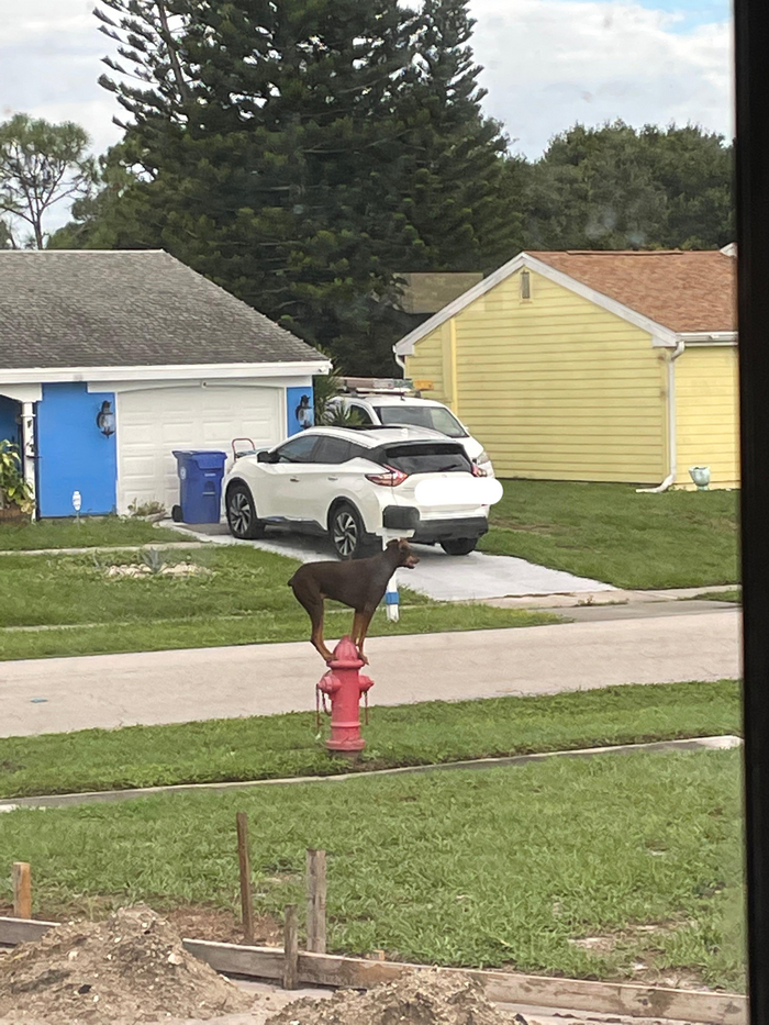 Пожарный надзор