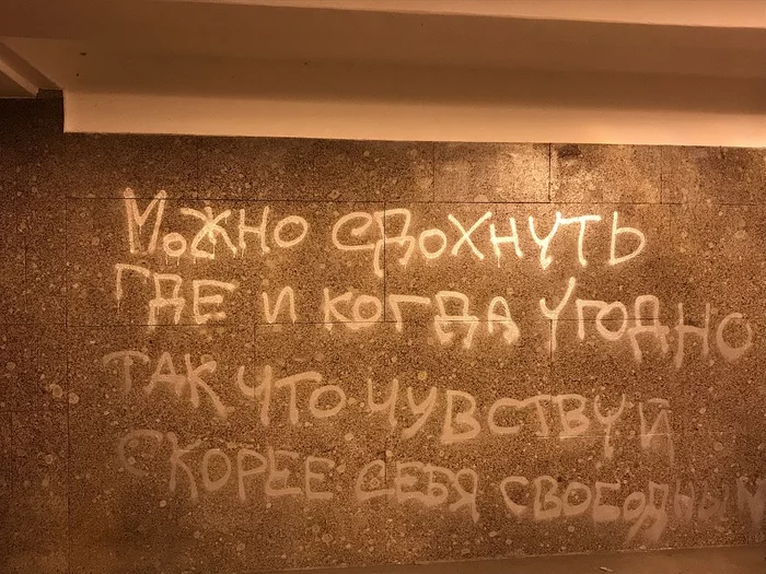 In St. Petersburg, in the underpass, someone was obviously covered :) - My, Liberty, Wall, Underground pass, Saint Petersburg, Wisdom, Thoughts, Lyrics, Philosophy, The writing is on the wall, Vandalism, Quotes, Bloodstream