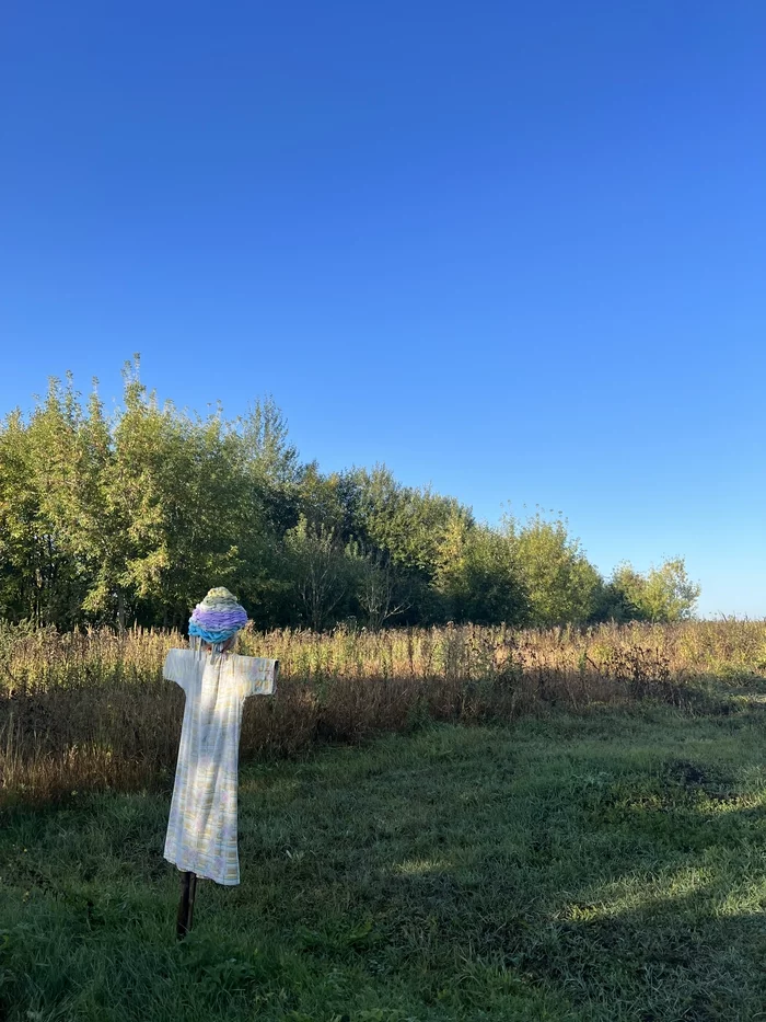 Dreams of open spaces and blue skies - My, Scarecrow, Open spaces, Sky, Nature, The sun, Alone in the field