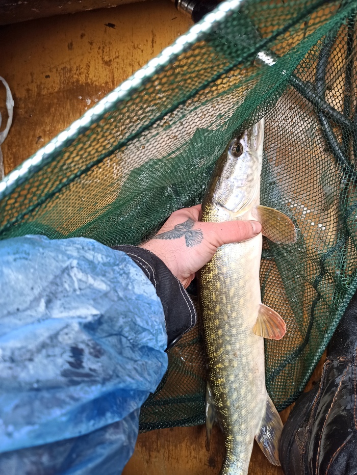 Ответ noenoenoe в «Дети тоже могут в черный юмор»