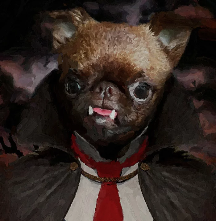 Digital portrait of petit-brabancon Dracula - My, Photoshop, Dog, The photo, Dracula, Longpost