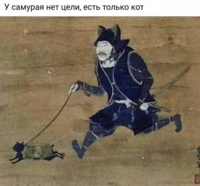 Only way - Memes, Picture with text, Samurai, cat