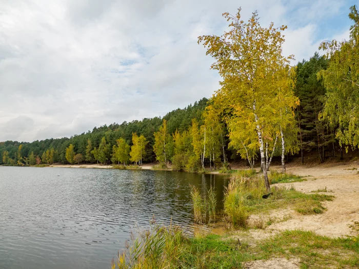 Autumn at the quarry - My, The photo, The nature of Russia, beauty of nature, Career, Water, Moscow region, Forest, Nature