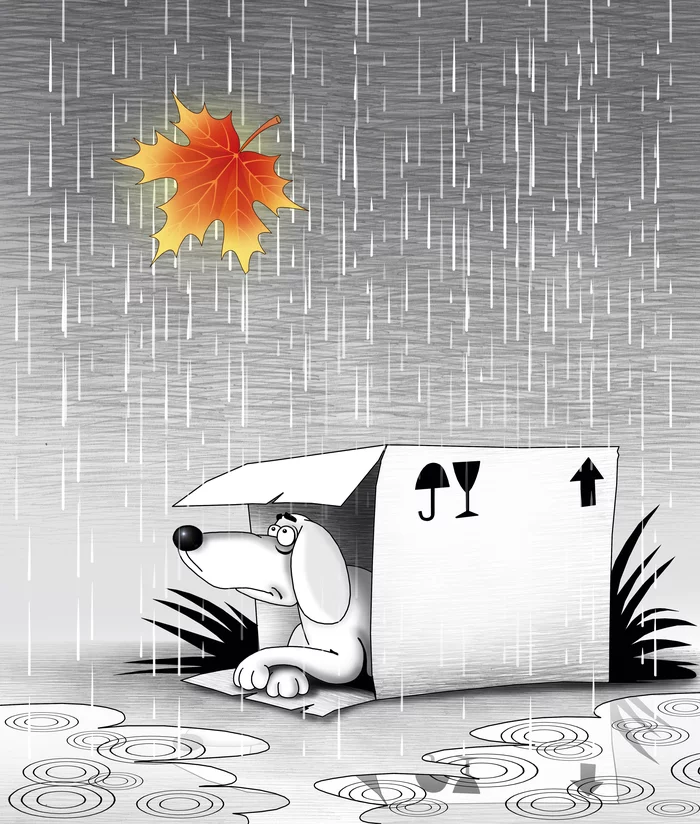 There is no bad weather - My, Sergey Korsun, Caricature, Autumn, Weather, Dog, Sadness