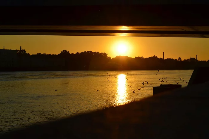 St. Petersburg. - My, Saint Petersburg, Volodarsky bridge, Russia, Sunset, Landscape, Light, Shadow, Yellow, Contemplation, Birds