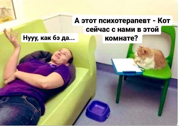 When there is no money for a psychotherapist, but problems with cuckoo somehow need to be solved ... - My, Memes, Picture with text, cat, Humor, Psychotherapy