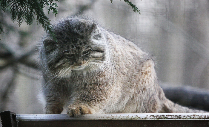 �� ��������