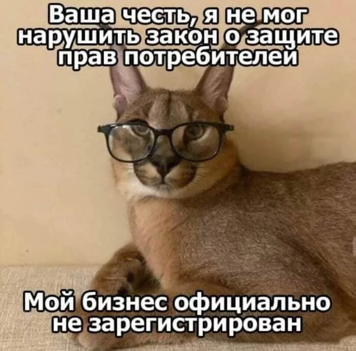 It's not breaking the rules if you didn't follow the rules in the first place. - Memes, Picture with text, Caracal, Humor, Consumer rights Protection