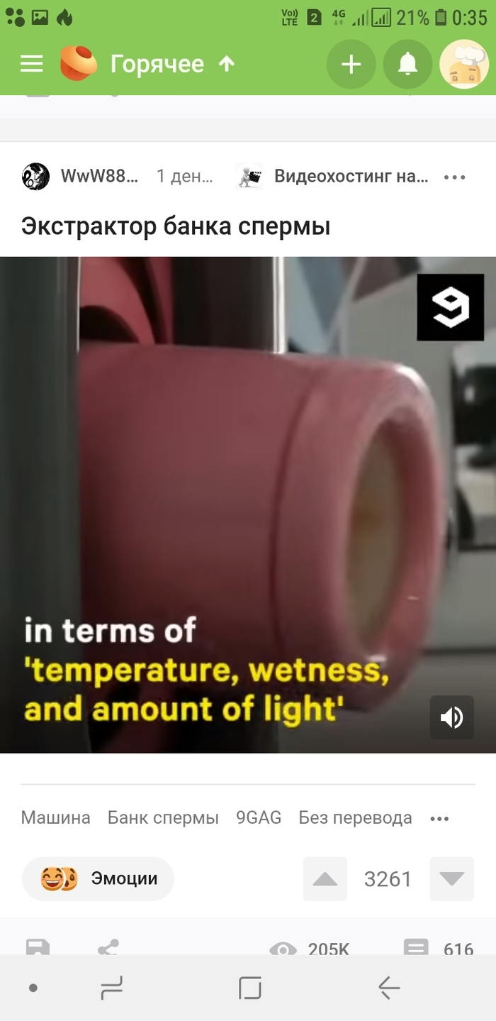 Вечерние новости