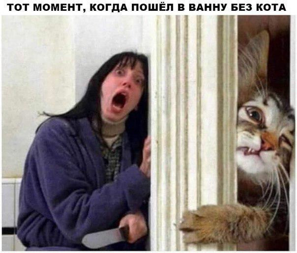 Kidalovo - Girls, Humor, Memes, Door, cat, Picture with text