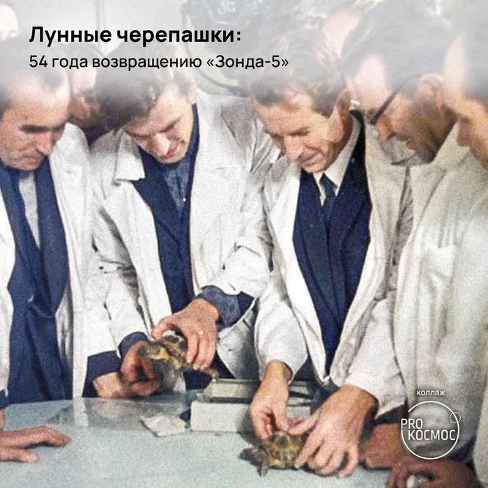 Moon turtles: 54 years of the return of Zond-5 - Cosmonautics, Space, Lunar program, Soviet Lunar Program