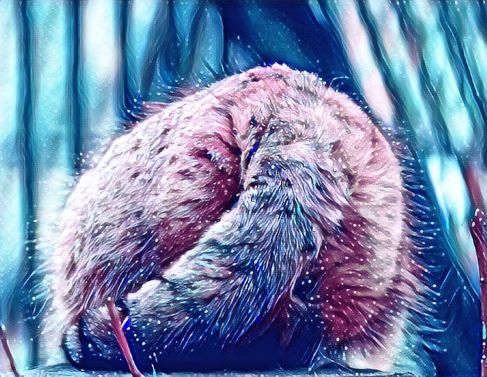 ���� ������� ������-����!